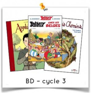 bd cycle 3
