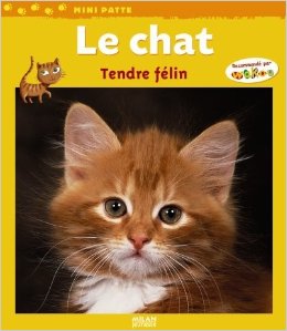 Documentaire chat